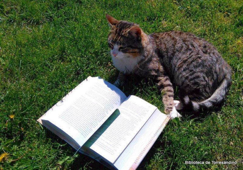 Ganadores de los concursos del Mes del Libro