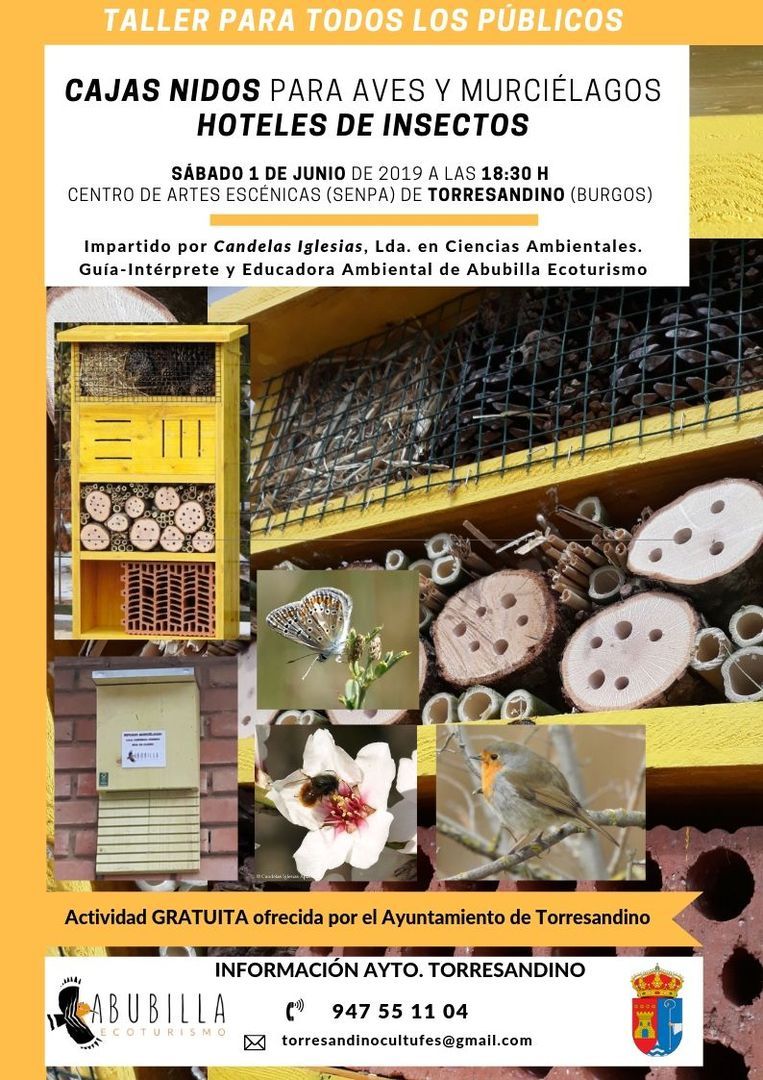 Taller cajas-nido